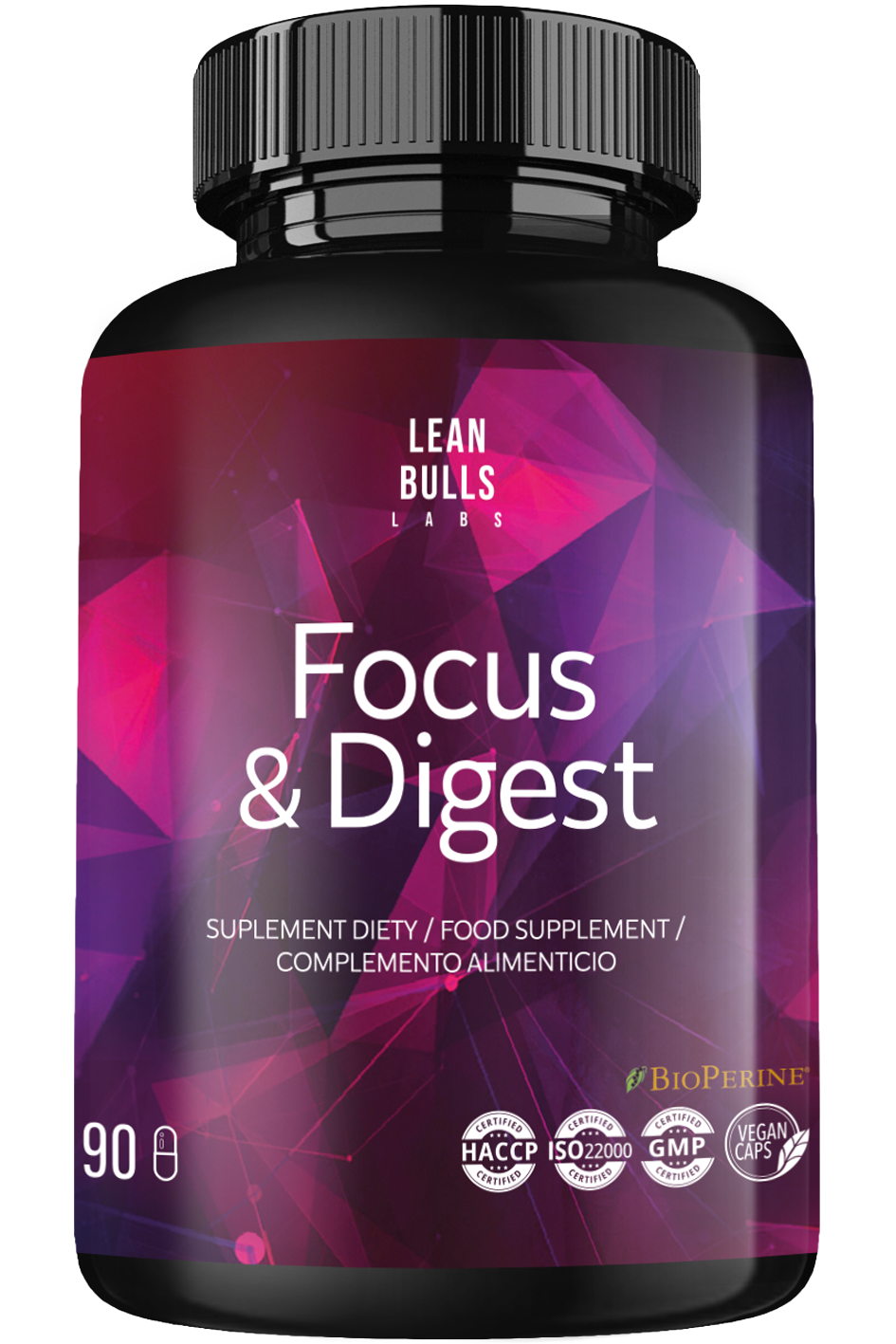 Focus & Digest — Day